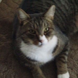 Meet your Posher, Janette